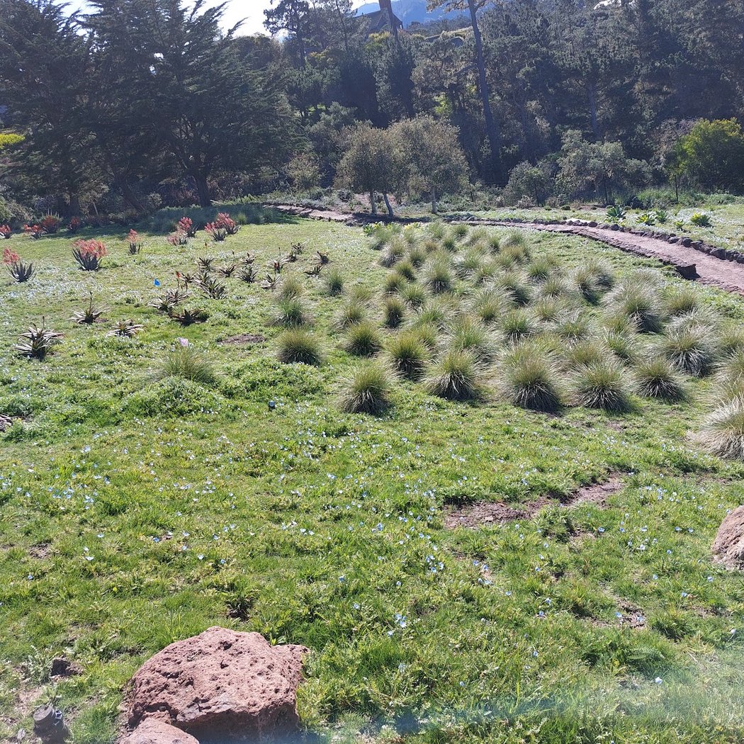 Habitat Gardens 2