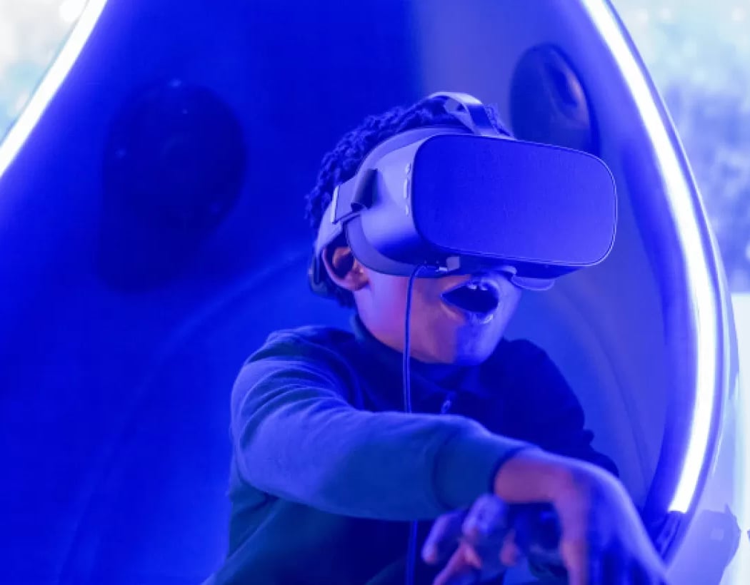 VR: Flight of the Mantas