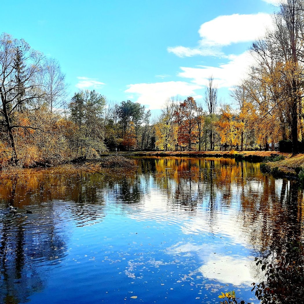 Etang des Pèdes 1