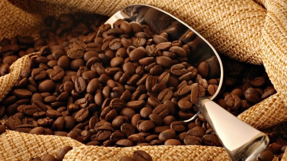 Coffee Mill Roasters 3