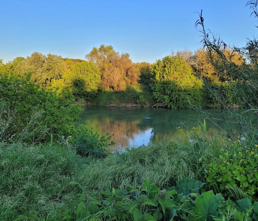 Parco del Tevere Magliana