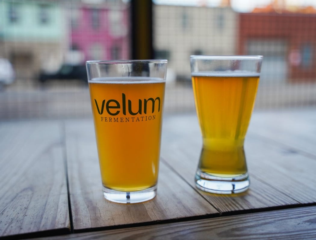 Velum Fermentation 2