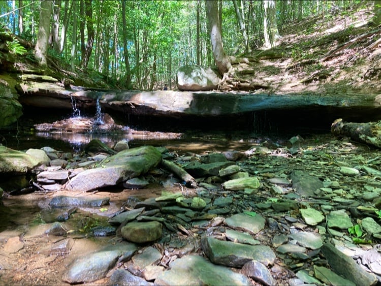 Austintown Township Park 3