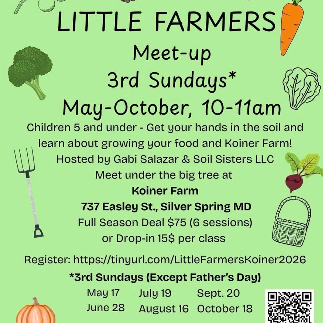 Little Farmers 1