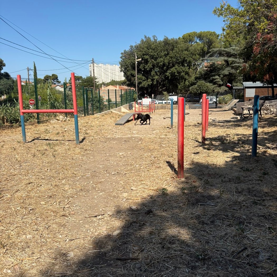 Parc à chien du redon 1
