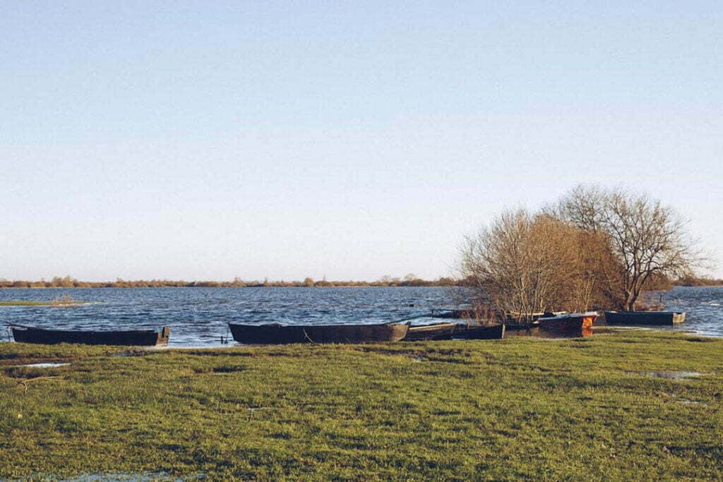 Lac de Grand-Lieu 2