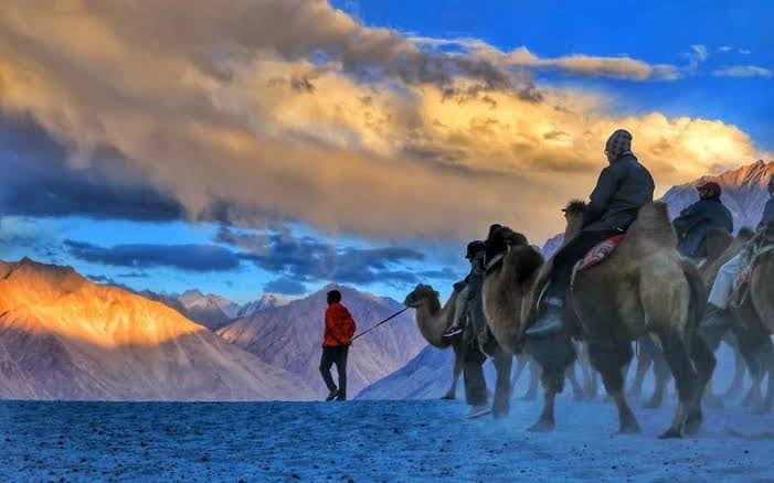 Nubra Valley 5