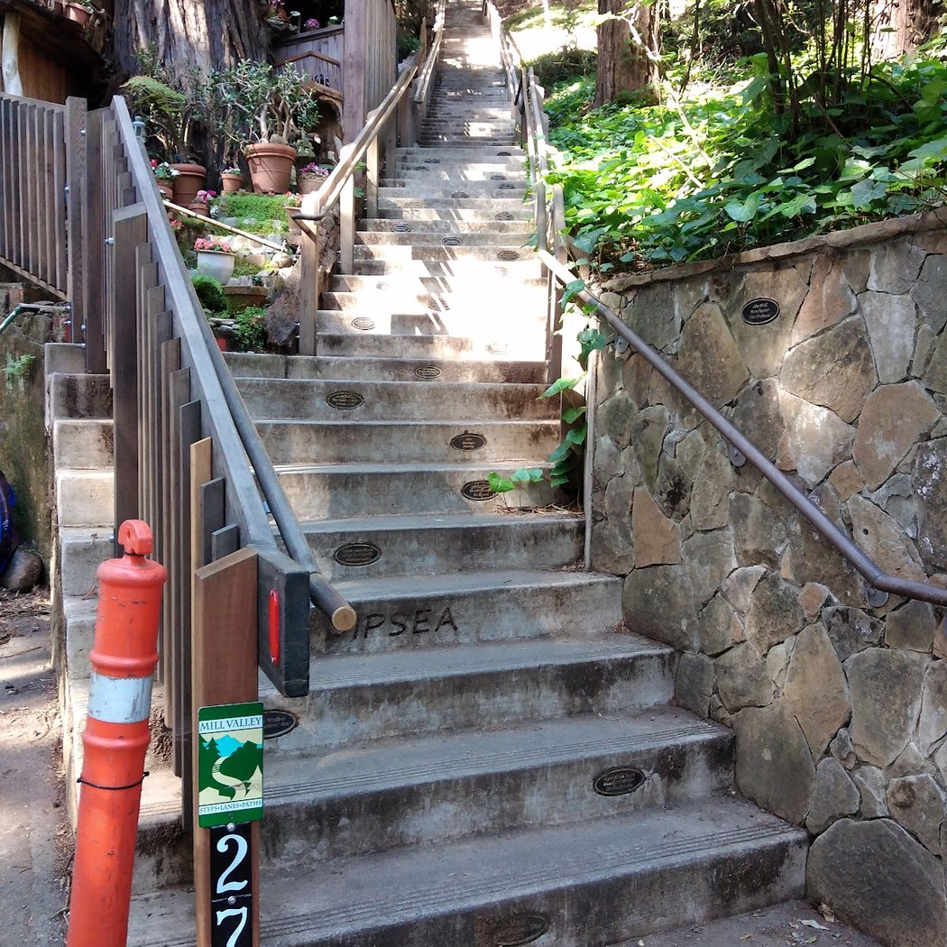 Lower Dipsea Stairs 1