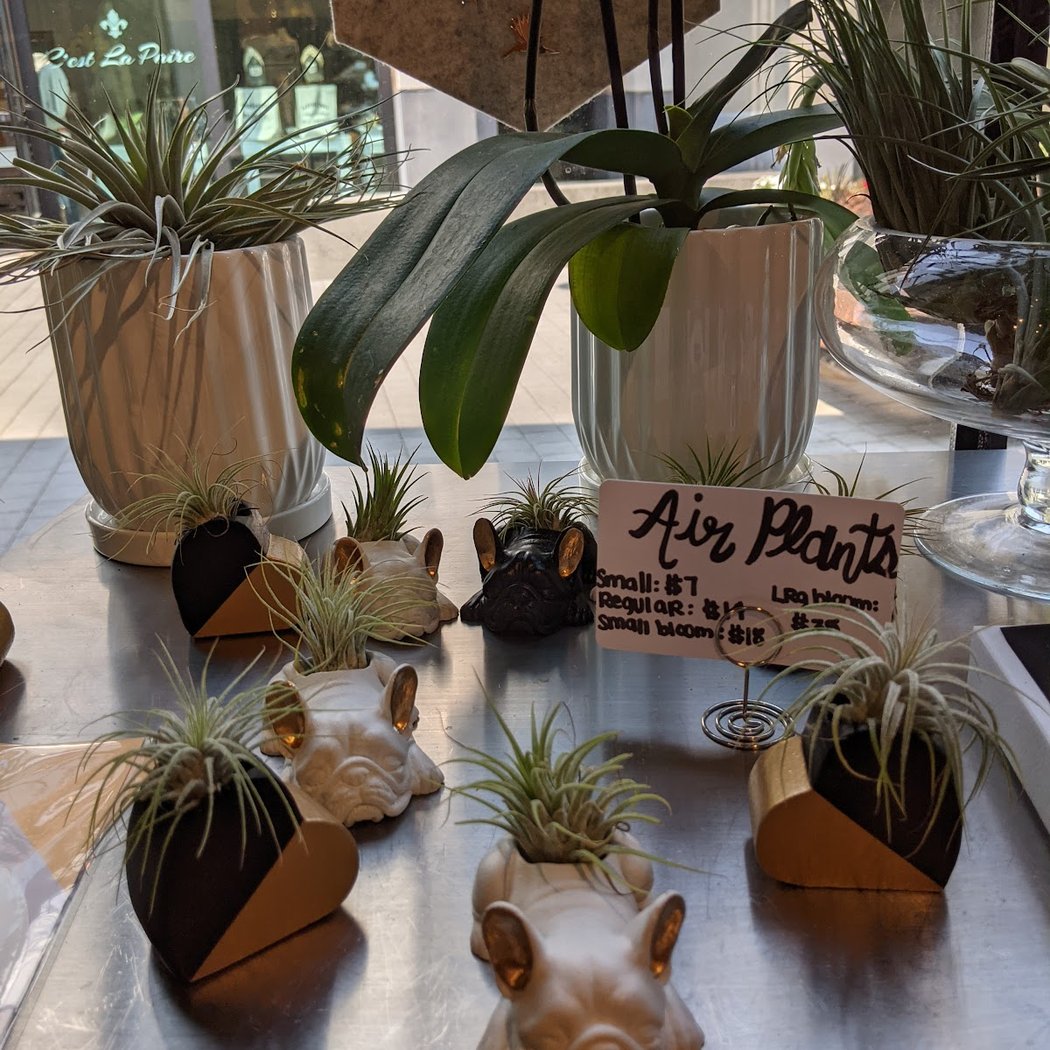 Plant, Play & Jam Kids Workshop 1