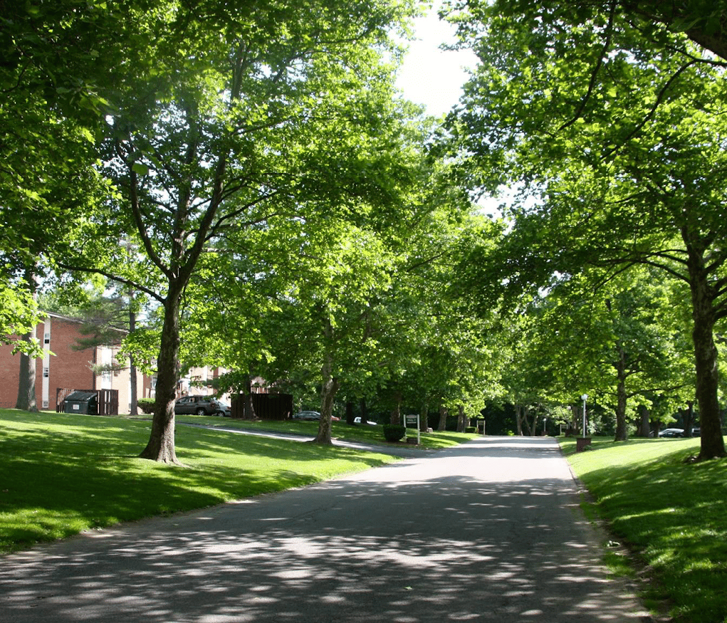 Mountainview Garden Apartments 3