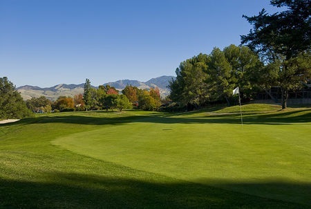 Skylinks at Buchanan Fields Golf Course 2