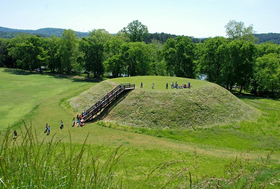 Etowah Indian Mounds State Historic Site 2