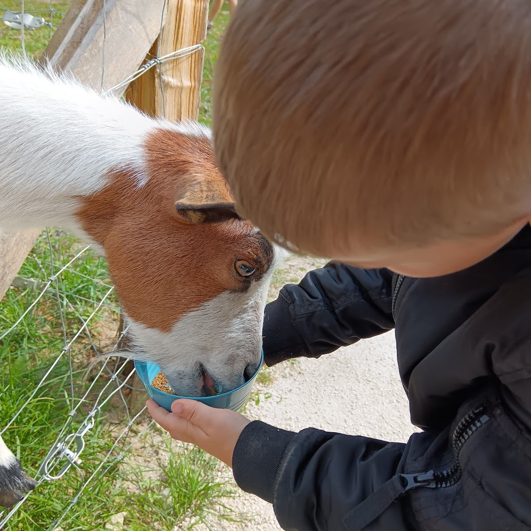 La ferme des 1001 pattes 1