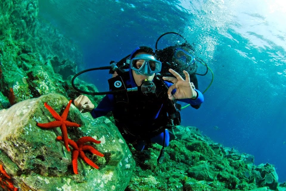 PORT FREJUS DIVING 1
