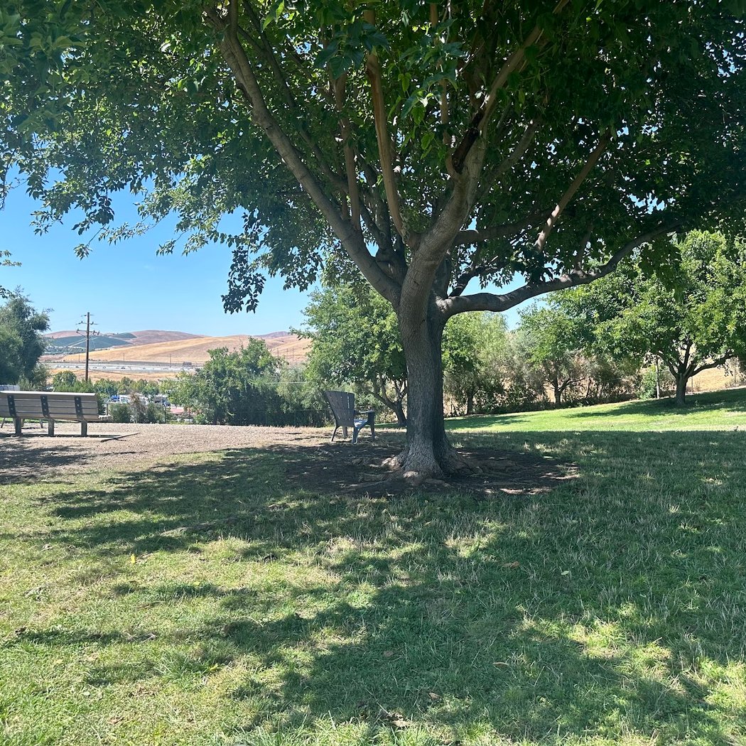 Meadow Vista Dog Park 1