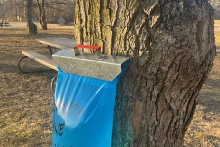 Home School Maple Sugar and Lumberjacks 1