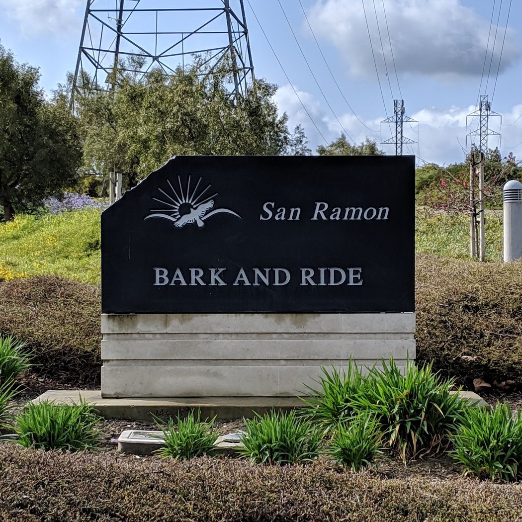 Bark & Ride 3