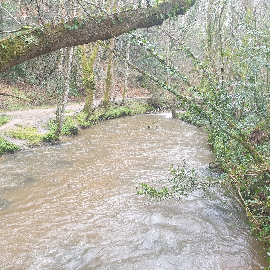 Vallée du Cens 3