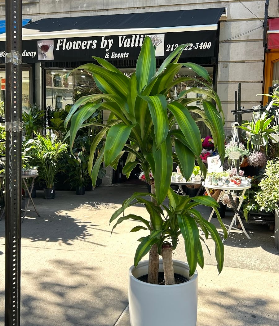 Flowers by Valli & Events 2
