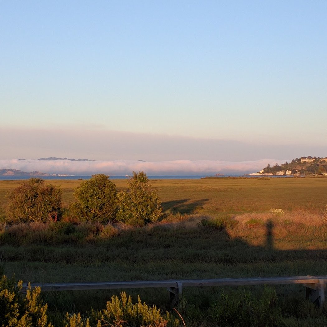 Corte Madera Marsh State Marine Park 1