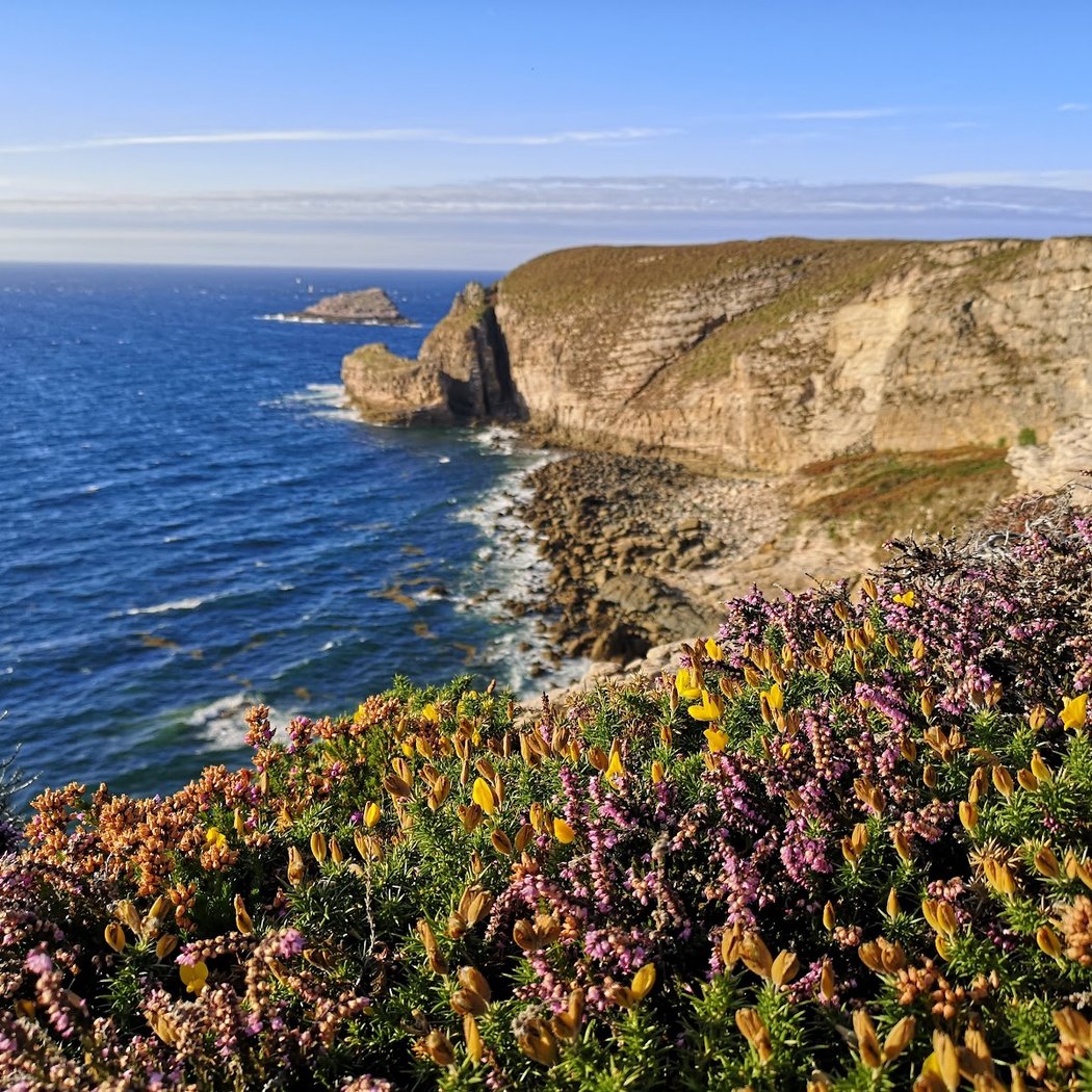 Cap Fréhel 1