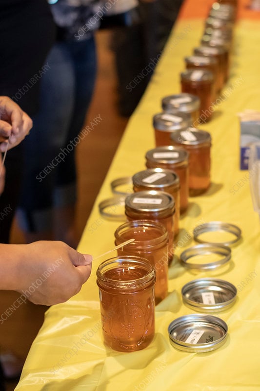 2026 Bee Fest 2