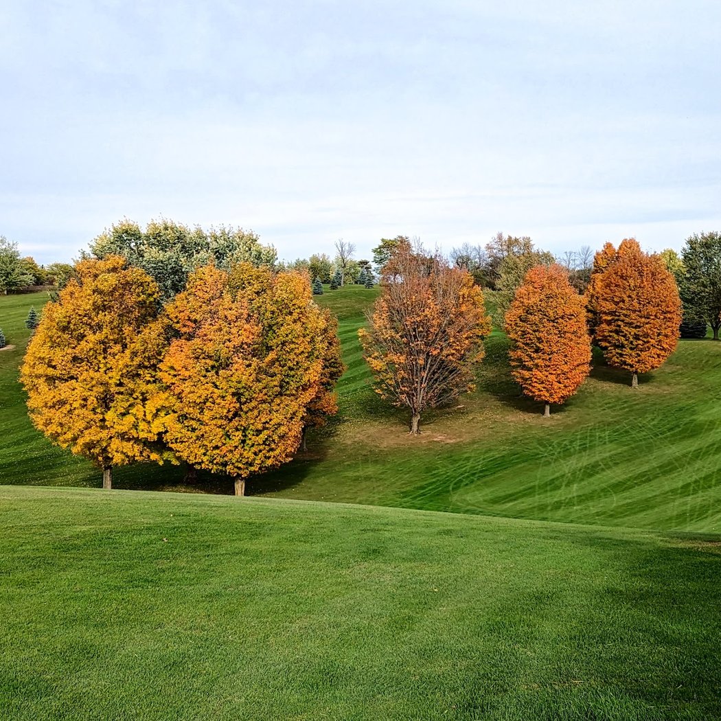 Camillus Golf Club 1