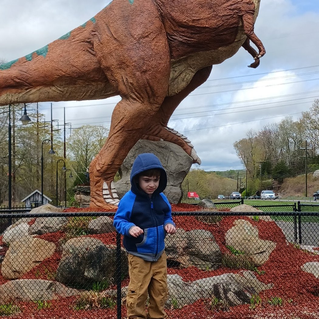 The Dinosaur Place 5