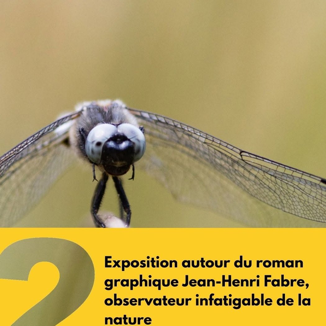 Exposition autour du roman graphique Jean-Henri Fabre, observateur infatigable de la nature 1