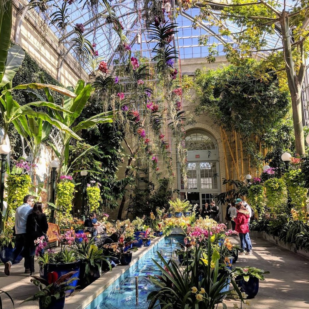 Summer Evening Hours at the Garden
