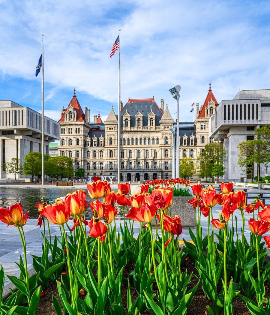 Tulip Festival 1
