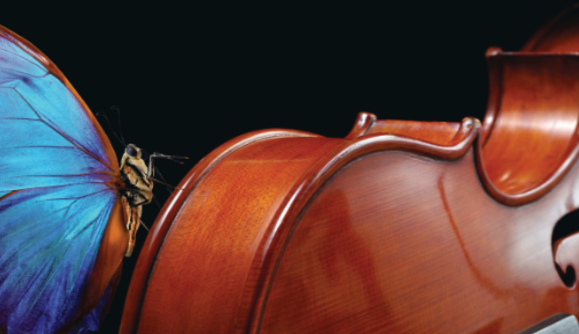 Stony Brook Symphony Orchestra 1