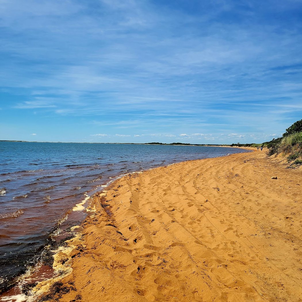 Walking Dunes Trail 3