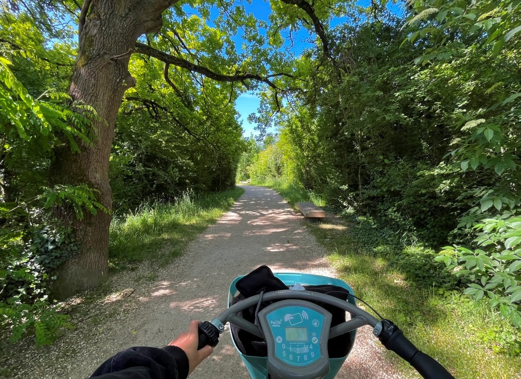Forêt Domaniale de la Grange 2