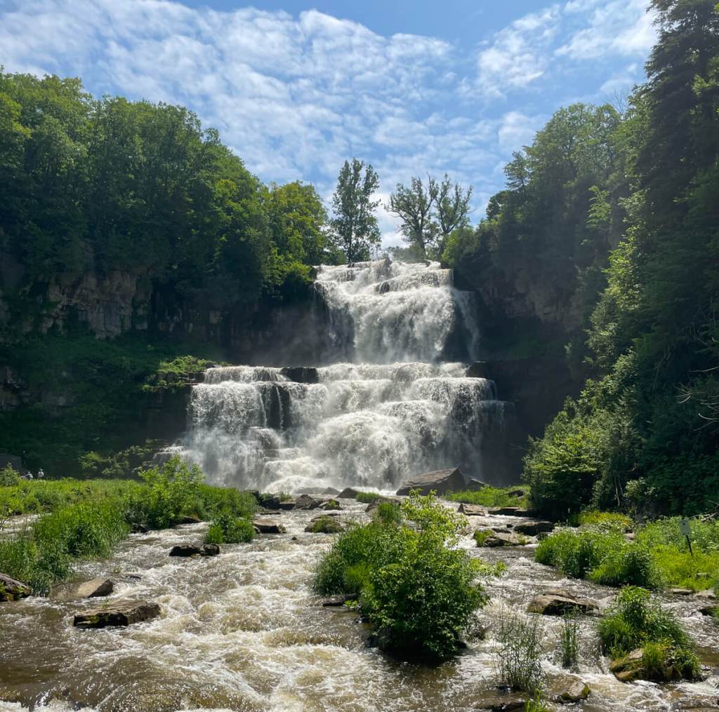 Chittenango Falls State Park 2