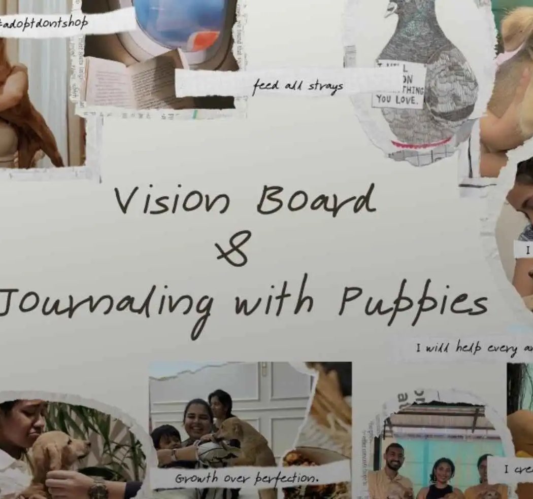 Journalling + Vision Board w Puppies 1