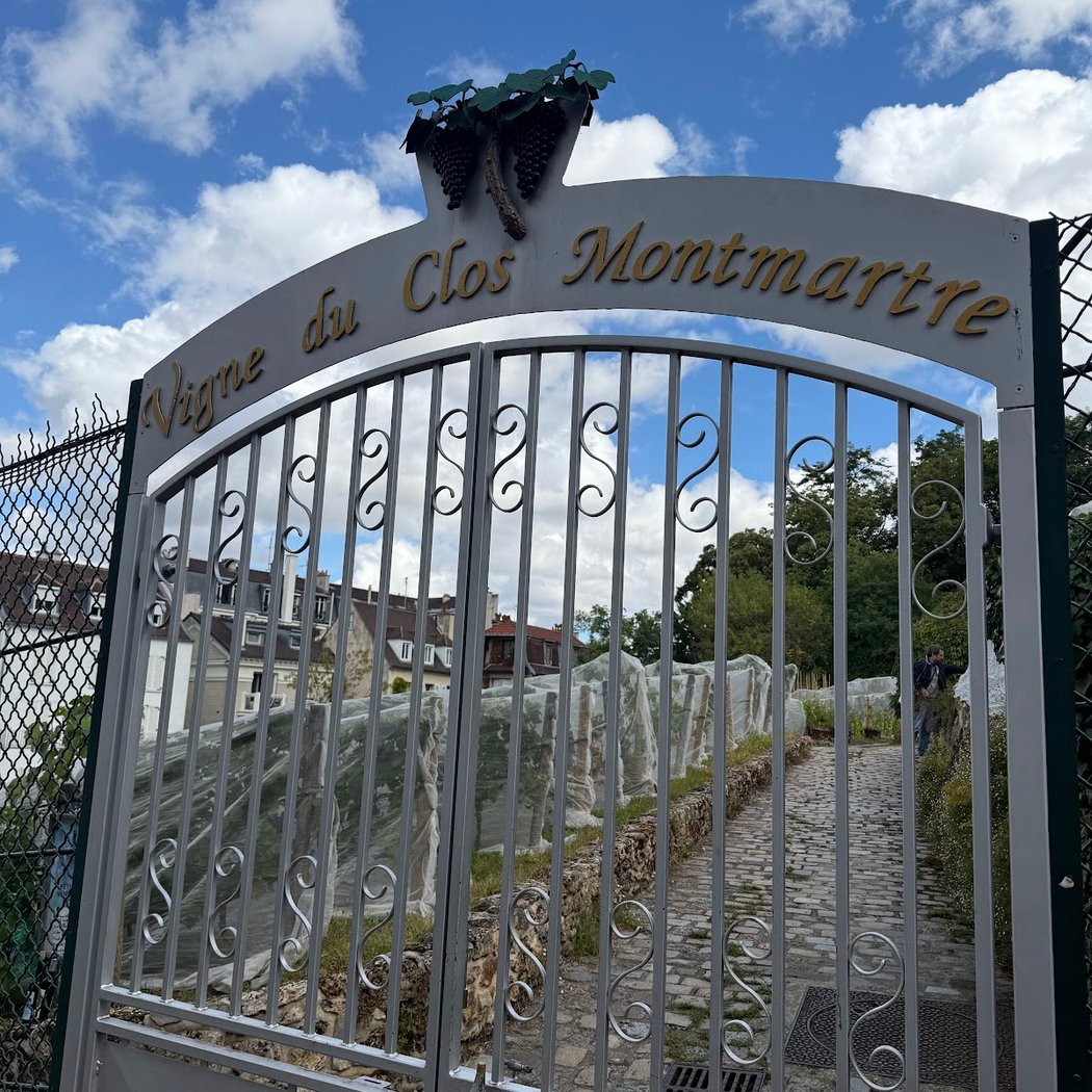 Fête des vendanges 2