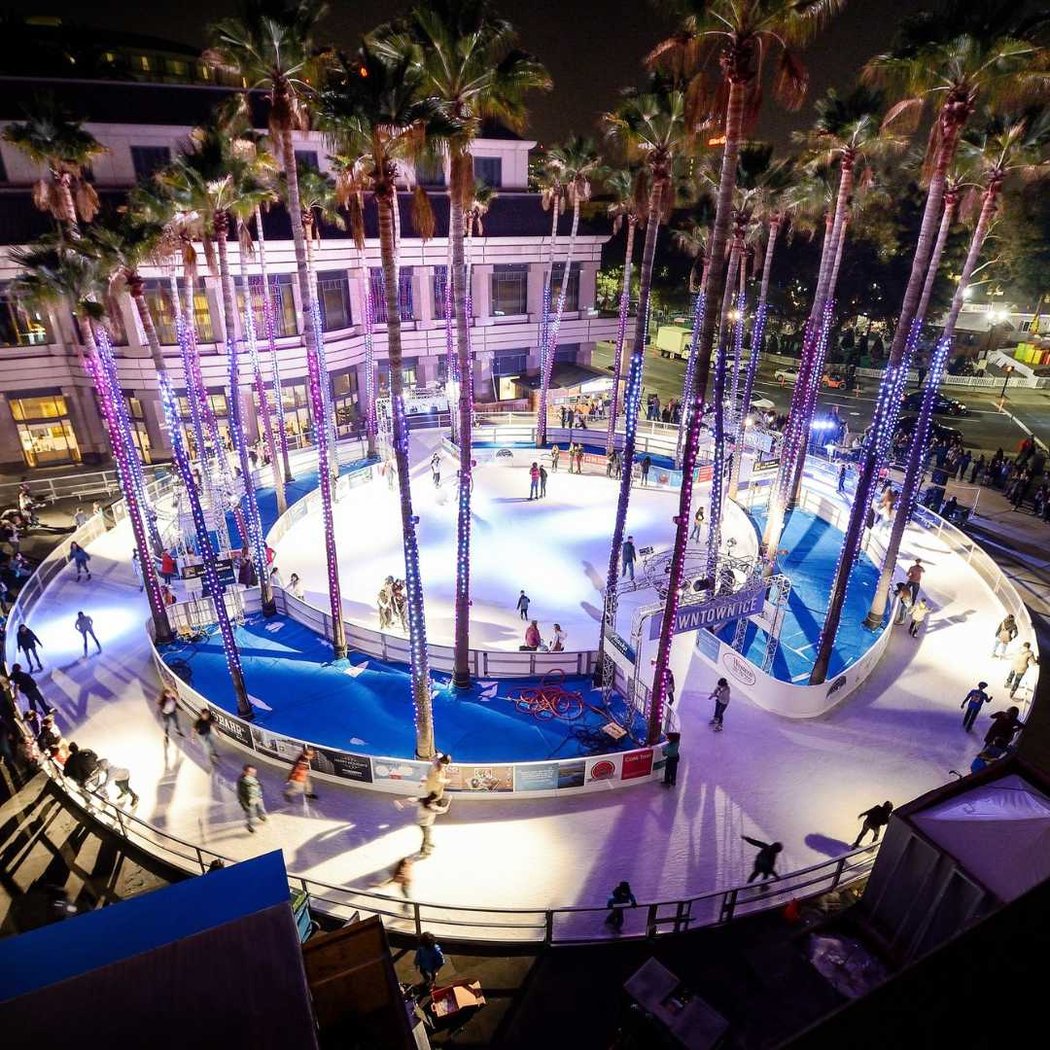 Skate Under the Palms 1