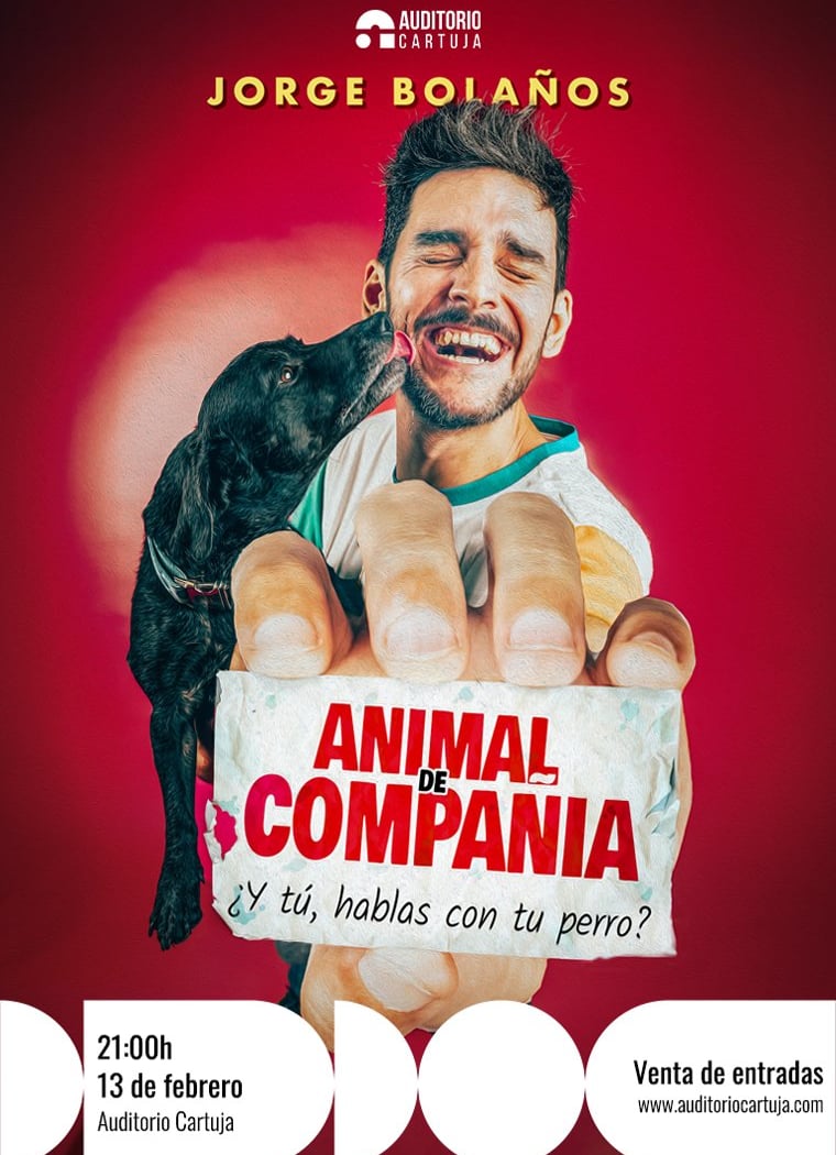 Animal de Compañía 1