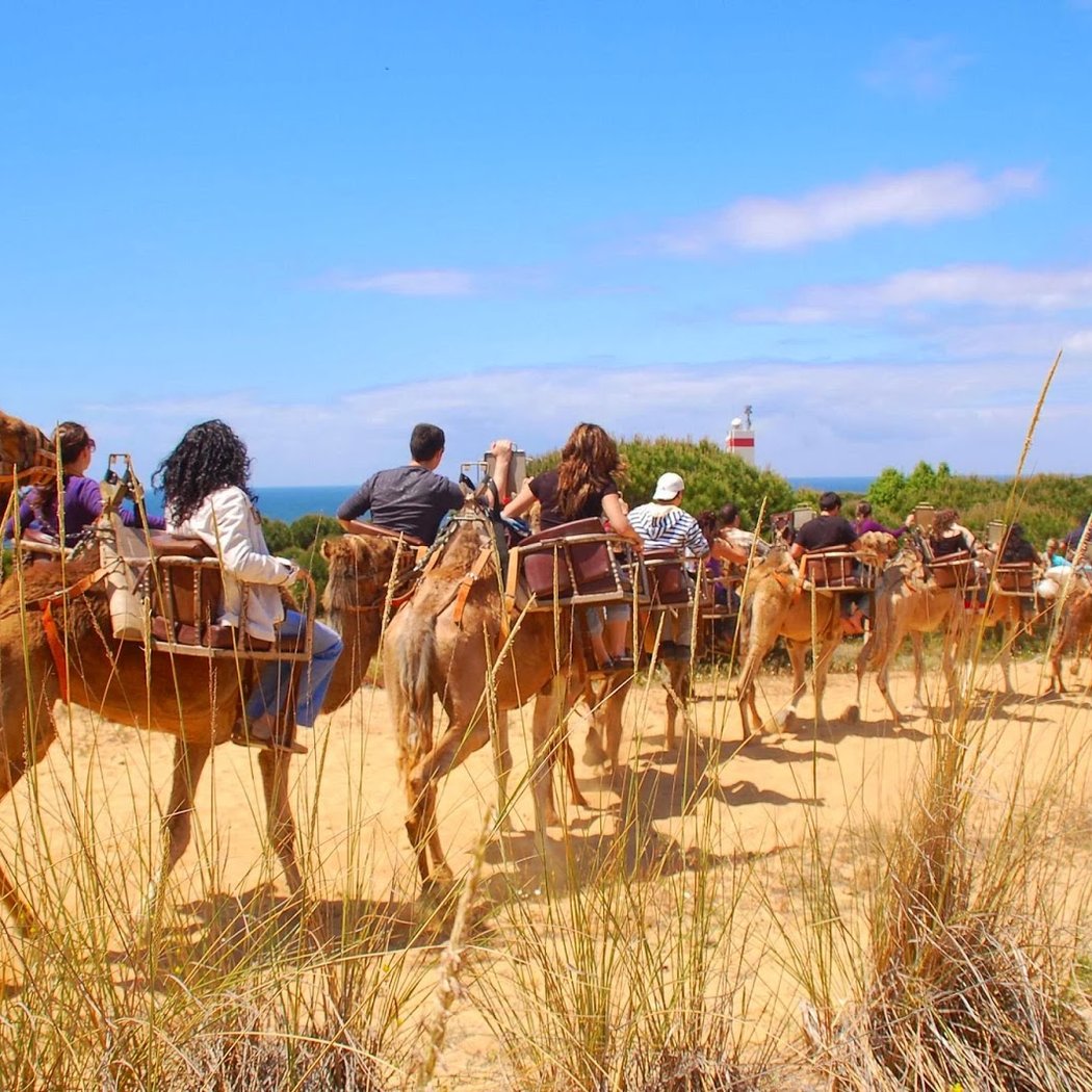 Aires Africanos - Ecoturismo en camello por Doñana 2