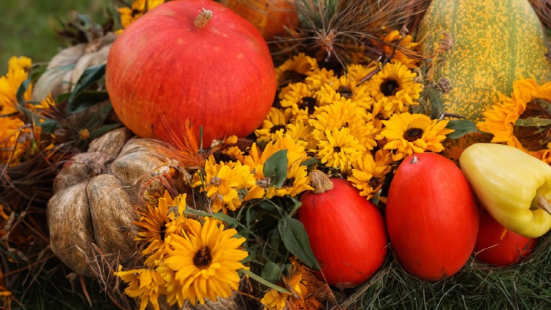 Harvest Festival