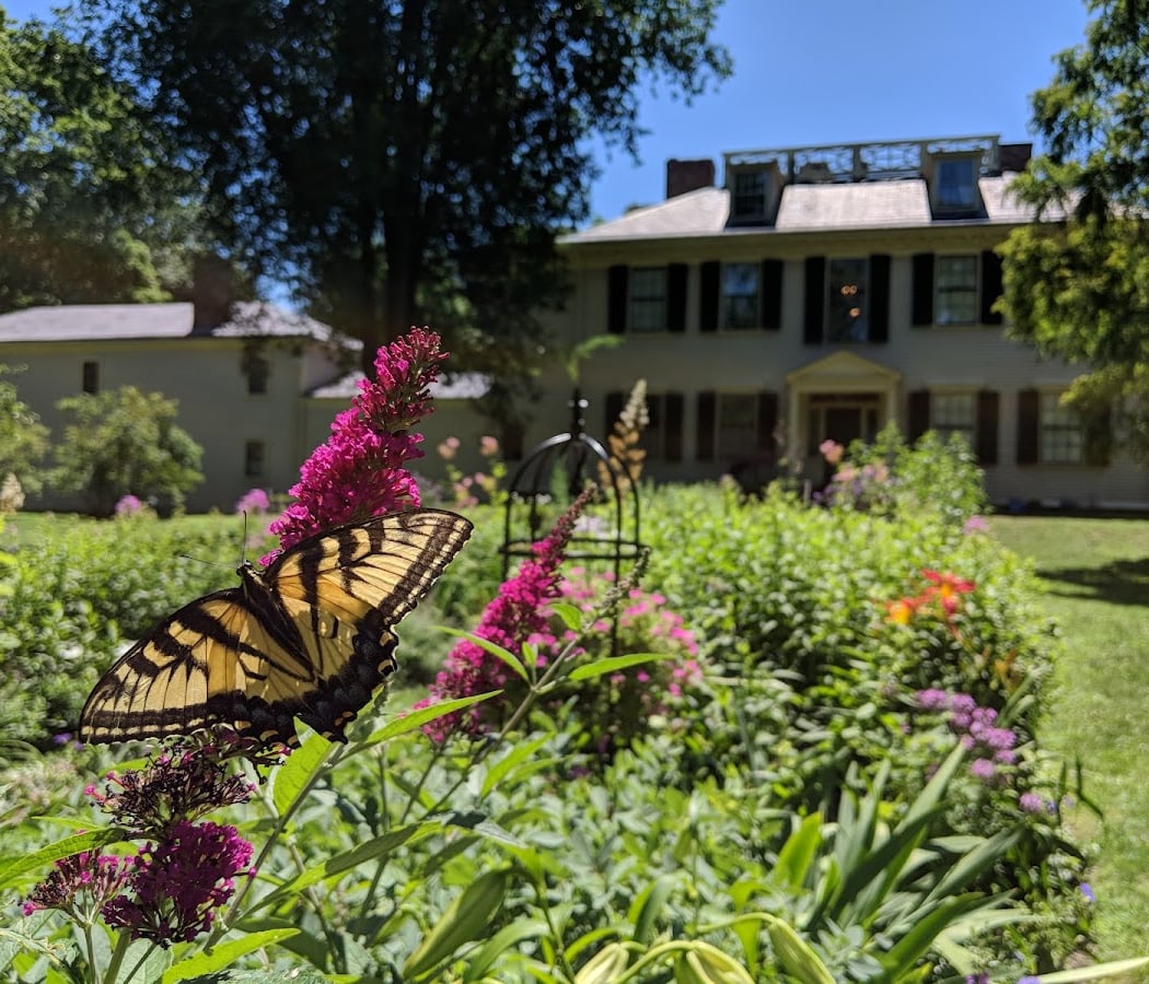 Thursdays on the Lawn at the Loring Greenough House