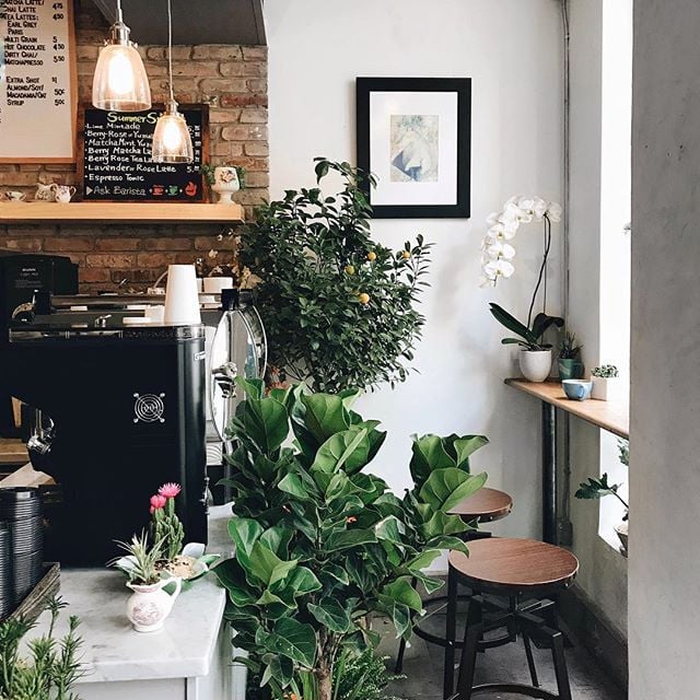 Remi Flower & Coffee 3