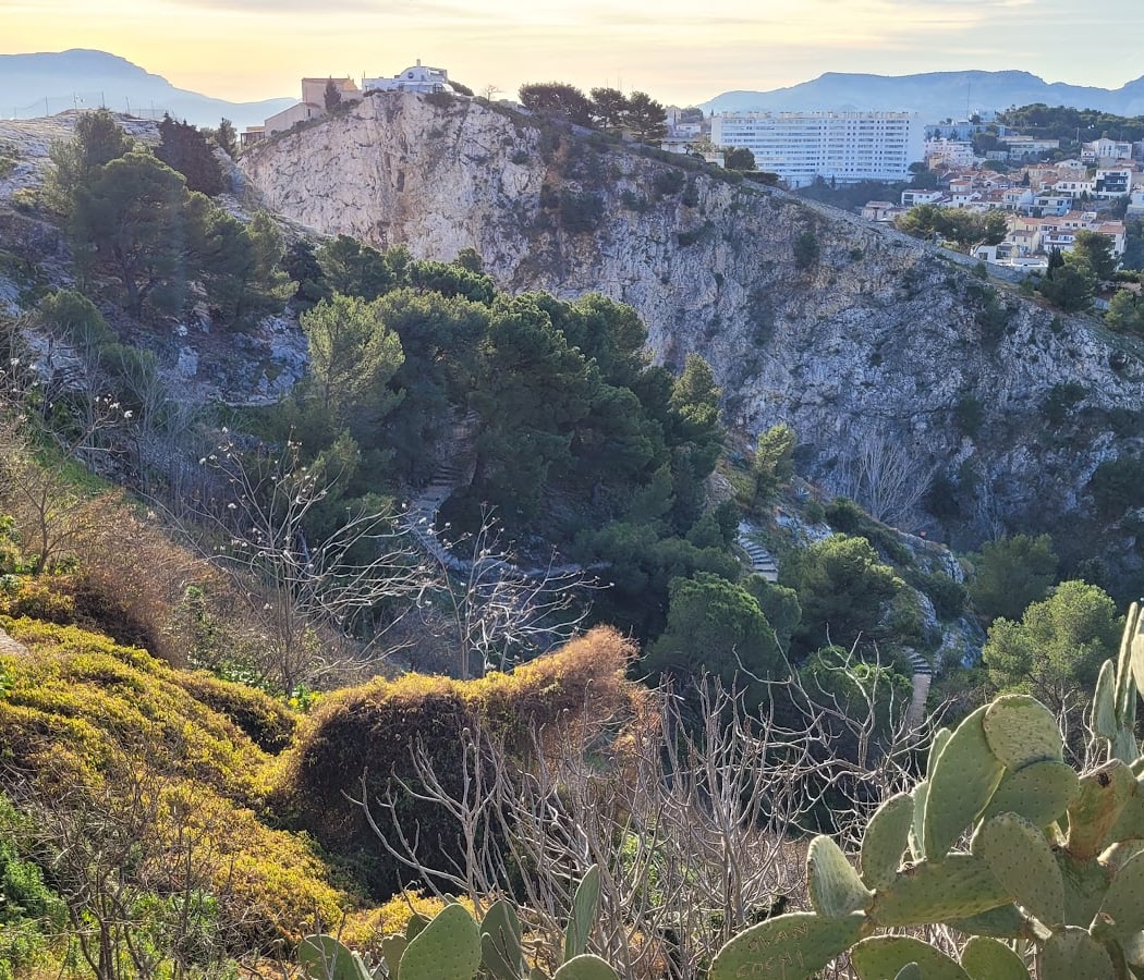 bois sacré Garden 4