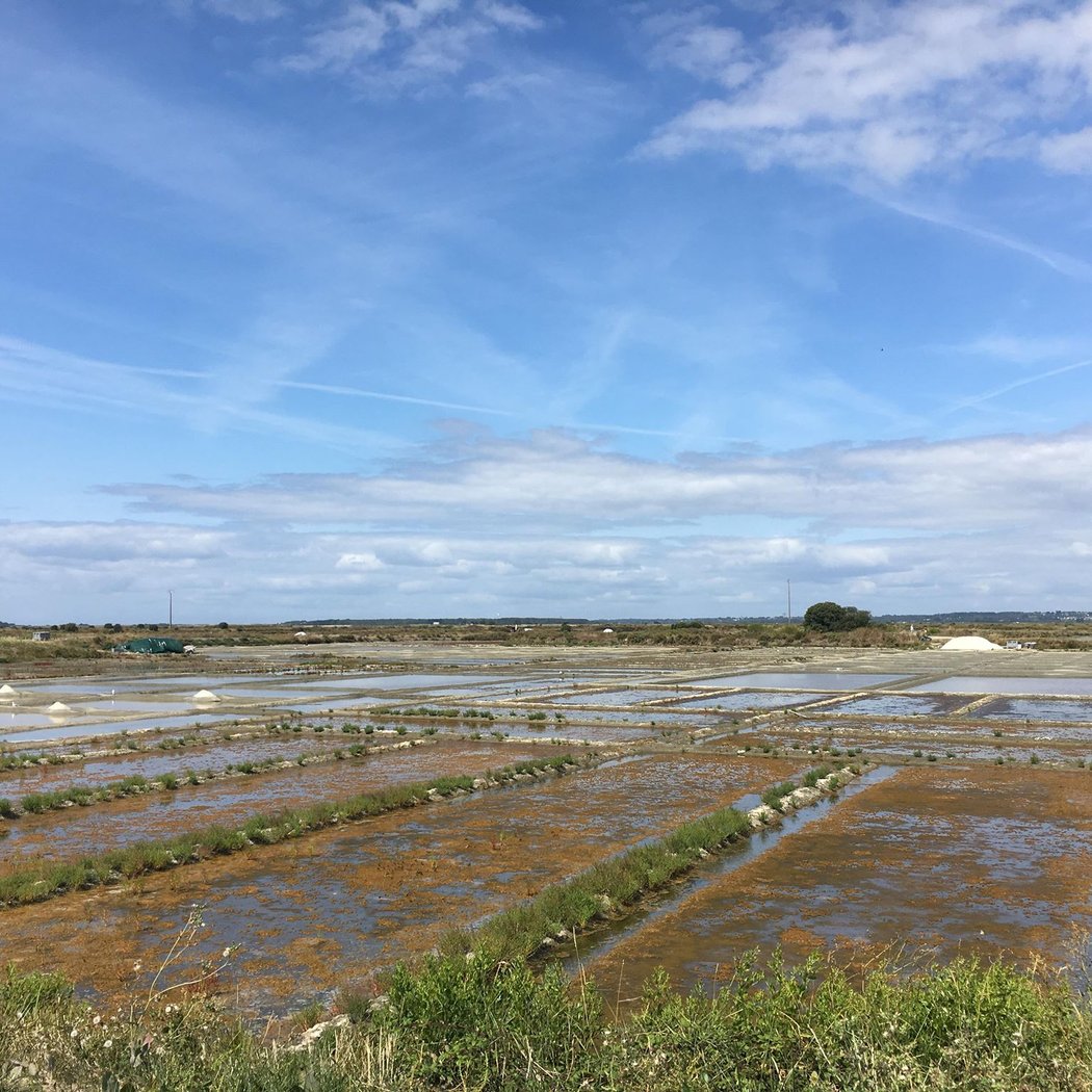 Marais salants 2
