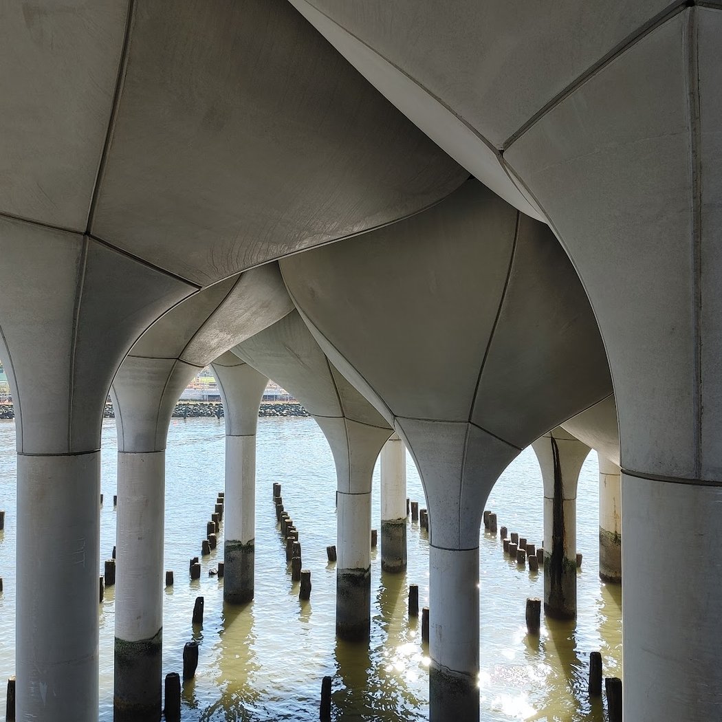 Pier 54 5