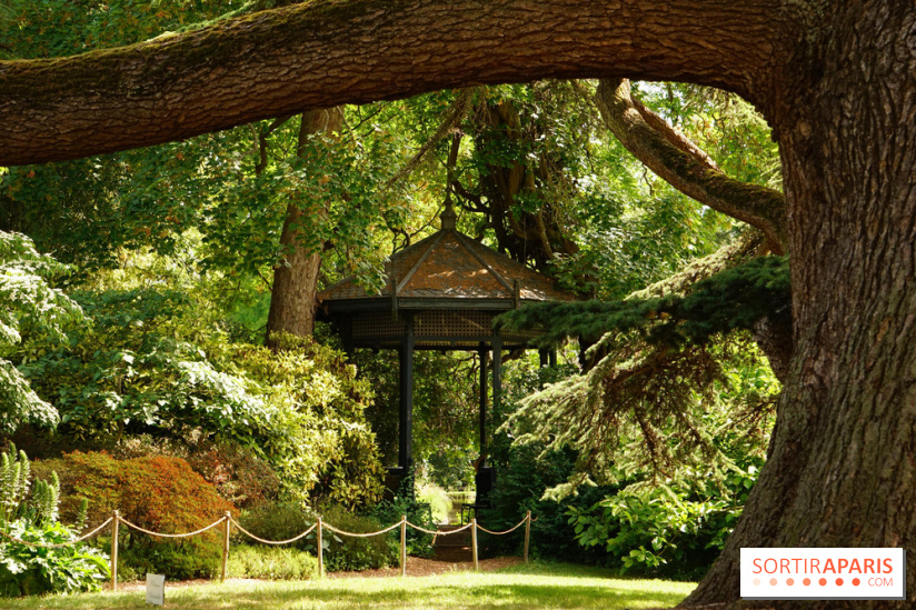 Arboretum de la Vallée aux Loups 3