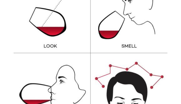 From Grapes to Glass: Sensory Perception of Wine 1