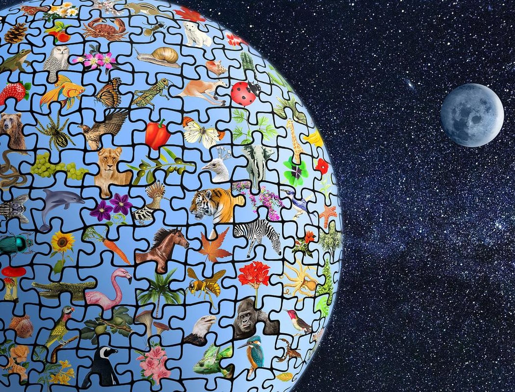 La biodiversité : quelle importance ? Apprendre à cohabiter avec le vivant 1