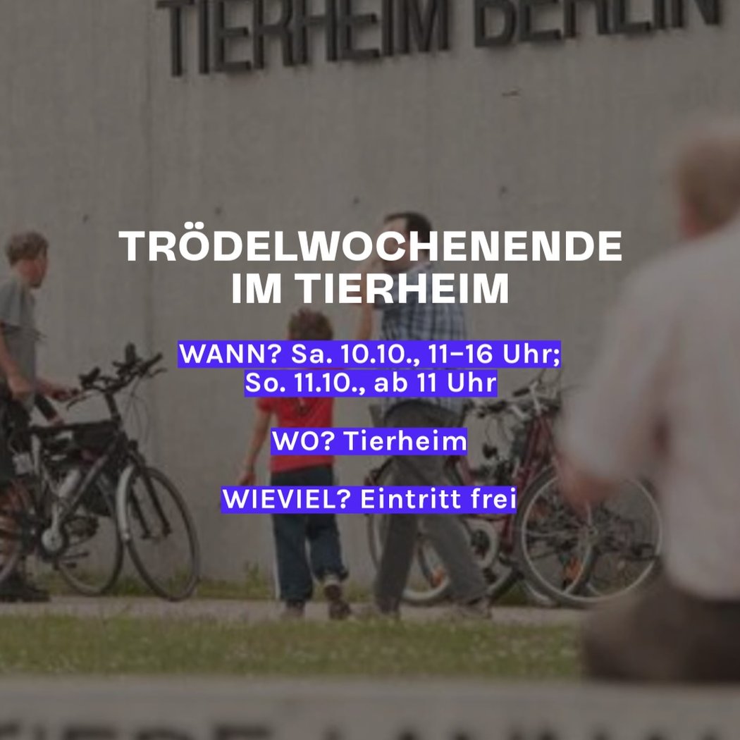 Trödelwochenende im Tierheim